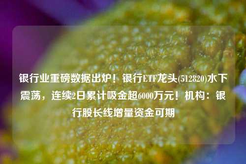 银行业重磅数据出炉！银行ETF龙头(512820)水下震荡，连续2日累计吸金超6000万元！机构：银行股长线增量资金可期