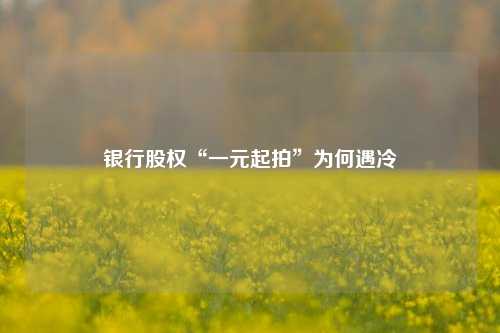 银行股权“一元起拍”为何遇冷