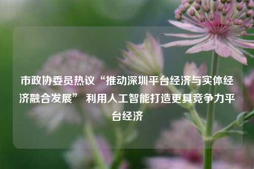 市政协委员热议“推动深圳平台经济与实体经济融合发展” 利用人工智能打造更具竞争力平台经济