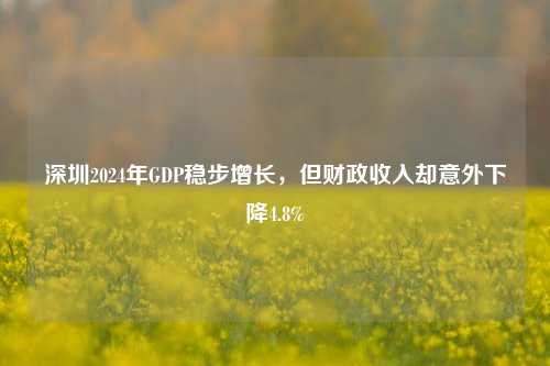 深圳2024年GDP稳步增长，但财政收入却意外下降4.8%