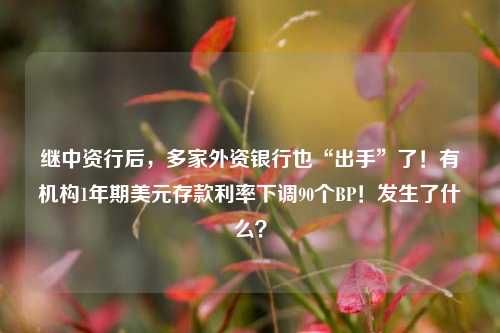继中资行后，多家外资银行也“出手”了！有机构1年期美元存款利率下调90个BP！发生了什么？