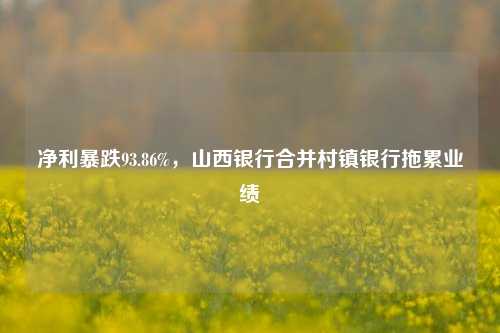 净利暴跌93.86%，山西银行合并村镇银行拖累业绩