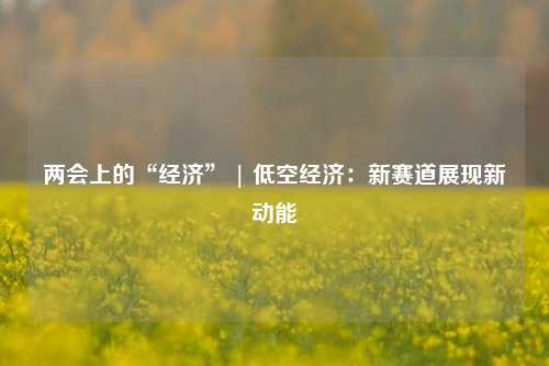 两会上的“经济” | 低空经济：新赛道展现新动能