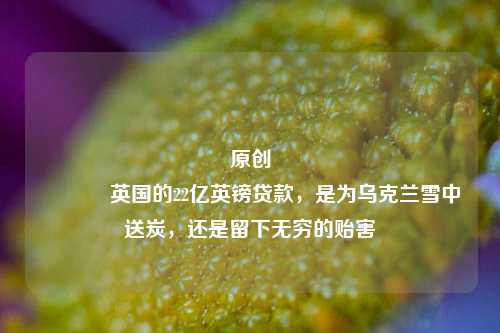 原创 英国的22亿英镑贷款，是为乌克兰雪中送炭，还是留下无穷的贻害