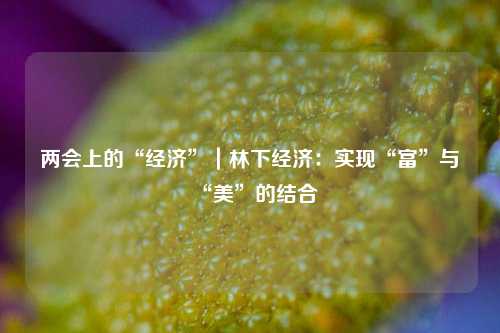 两会上的“经济”｜林下经济：实现“富”与“美”的结合