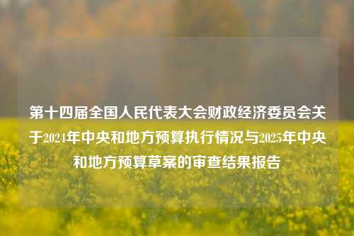 第十四届全国人民代表大会财政经济委员会关于2024年中央和地方预算执行情况与2025年中央和地方预算草案的审查结果报告