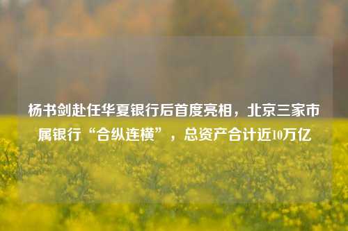 杨书剑赴任华夏银行后首度亮相，北京三家市属银行“合纵连横”，总资产合计近10万亿