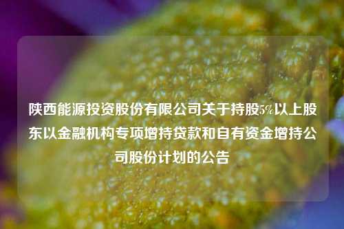 陕西能源投资股份有限公司关于持股5%以上股东以金融机构专项增持贷款和自有资金增持公司股份计划的公告