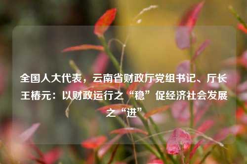 全国人大代表，云南省财政厅党组书记、厅长王椿元：以财政运行之“稳”促经济社会发展之“进”