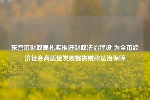 东营市财政局扎实推进财政法治建设 为全市经济社会高质量发展提供财政法治保障