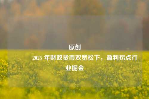 原创 2025 年财政货币双宽松下，盈利拐点行业掘金