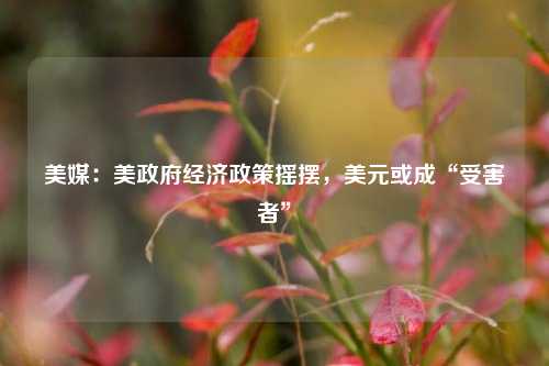 美媒：美政府经济政策摇摆，美元或成“受害者”