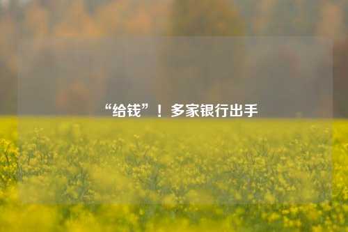 “给钱”！多家银行出手