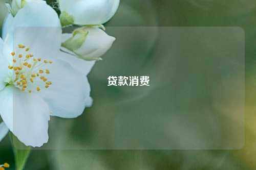 贷款消费