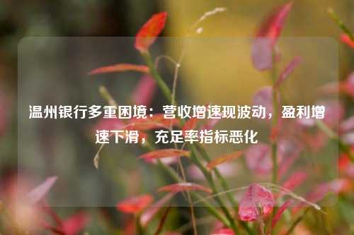 温州银行多重困境：营收增速现波动，盈利增速下滑，充足率指标恶化
