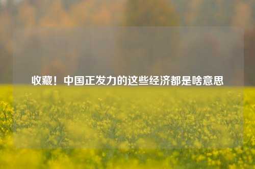 收藏！中国正发力的这些经济都是啥意思