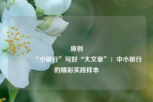 原创 “小银行”写好“大文章”：中小银行的精彩实践样本