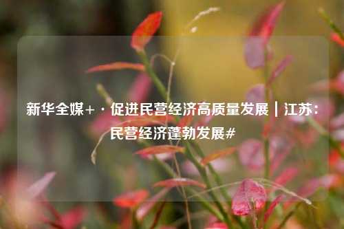 新华全媒+·促进民营经济高质量发展｜江苏：民营经济蓬勃发展#