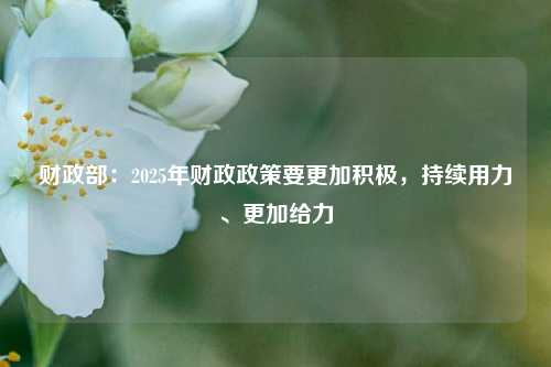 财政部：2025年财政政策要更加积极，持续用力、更加给力