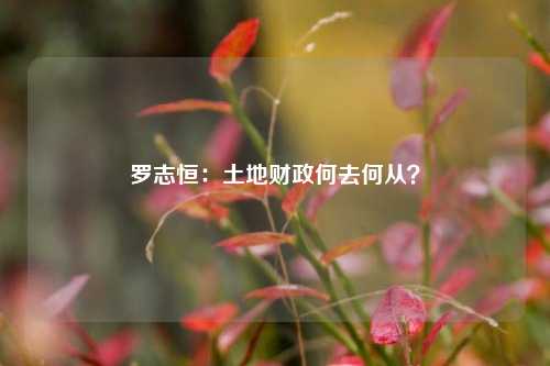 罗志恒：土地财政何去何从？