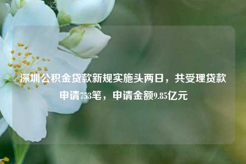 深圳公积金贷款新规实施头两日，共受理贷款申请753笔，申请金额9.85亿元