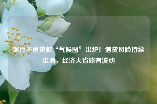银行不良贷款“气候图”出炉！信贷风险持续出清，经济大省略有波动