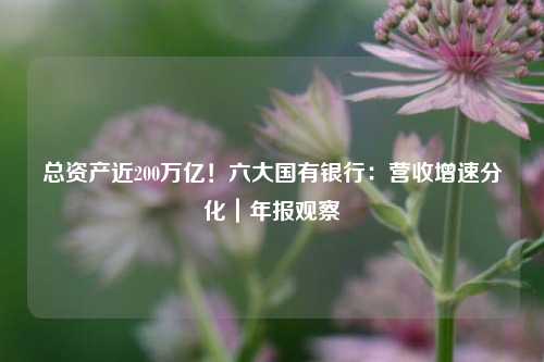 总资产近200万亿！六大国有银行：营收增速分化｜年报观察