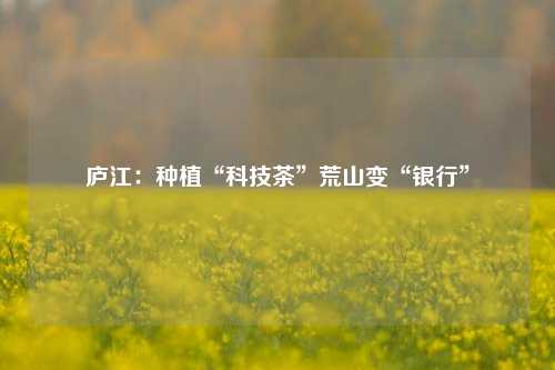 庐江：种植“科技茶”荒山变“银行”