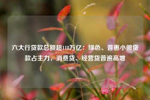 六大行贷款总额超118万亿：绿色、普惠小微贷款占主力，消费贷、经营贷普遍高增