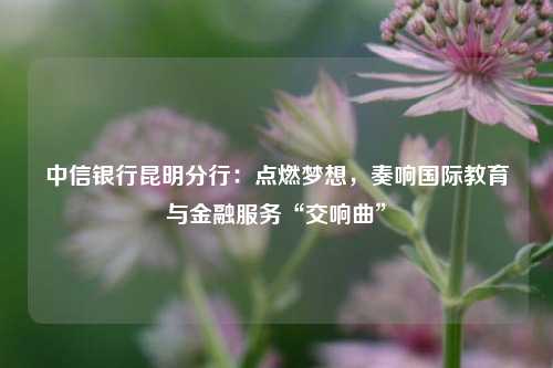 中信银行昆明分行：点燃梦想，奏响国际教育与金融服务“交响曲”