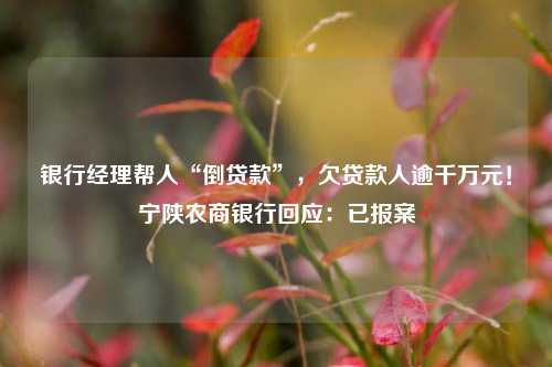 银行经理帮人“倒贷款”，欠贷款人逾千万元！宁陕农商银行回应：已报案