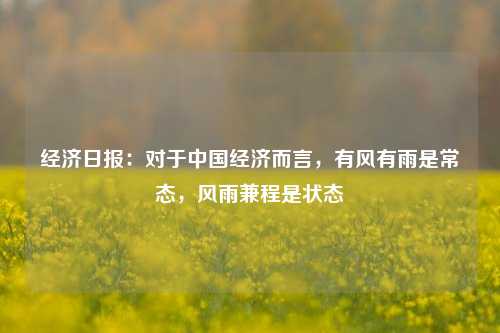 经济日报：对于中国经济而言，有风有雨是常态，风雨兼程是状态
