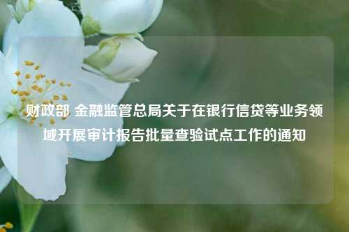 财政部 金融监管总局关于在银行信贷等业务领域开展审计报告批量查验试点工作的通知