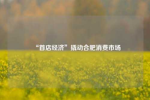“首店经济”撬动合肥消费市场