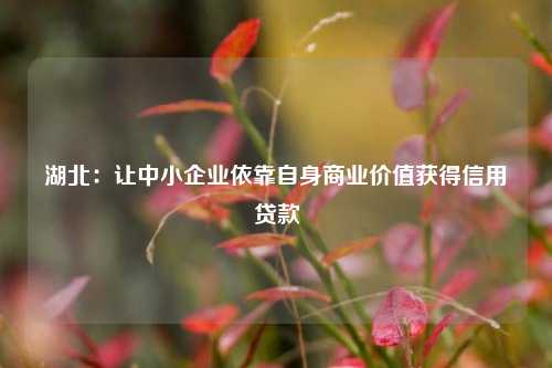 湖北：让中小企业依靠自身商业价值获得信用贷款 行业新闻 第1张