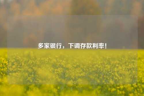 多家银行，下调存款利率！ 行业新闻 第1张