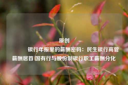 原创 银行年报里的薪酬密码：民生银行高管薪酬居首 国有行与股份制银行职工薪酬分化 行业新闻 第1张