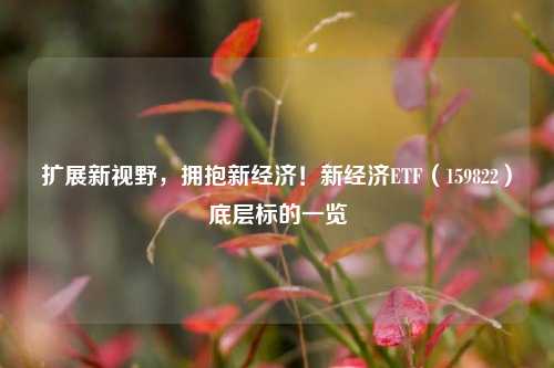 扩展新视野，拥抱新经济！新经济ETF（159822）底层标的一览 行业新闻 第1张