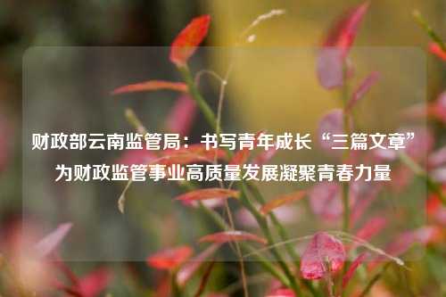 财政部云南监管局：书写青年成长“三篇文章”为财政监管事业高质量发展凝聚青春力量 行业新闻 第1张