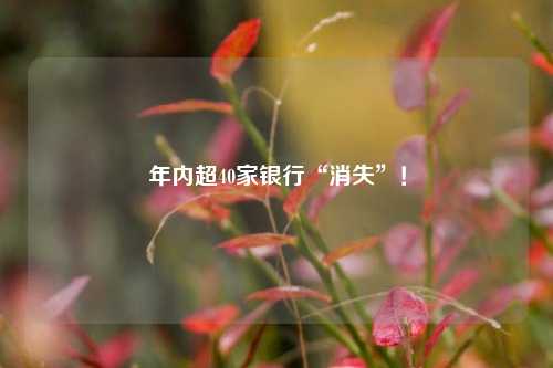 年内超40家银行“消失”！ 行业新闻 第1张