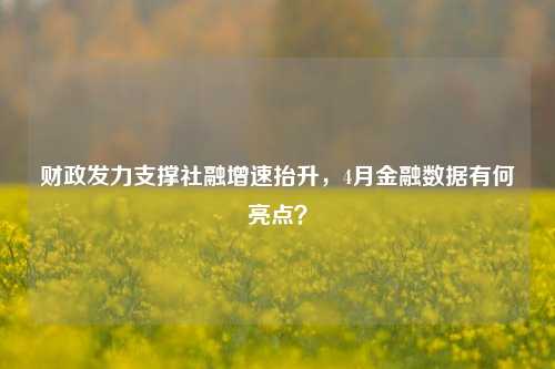财政发力支撑社融增速抬升，4月金融数据有何亮点？ 行业新闻 第1张