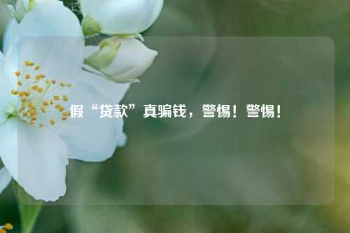 假“贷款”真骗钱，警惕！警惕！ 行业新闻 第1张