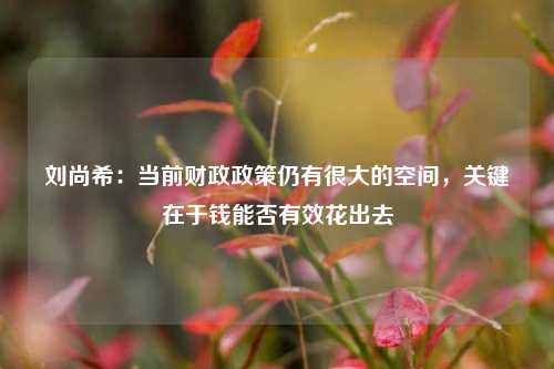 刘尚希：当前财政政策仍有很大的空间，关键在于钱能否有效花出去 行业新闻 第1张