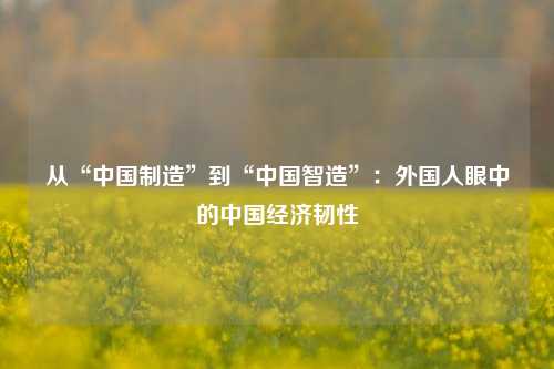 从“中国制造”到“中国智造”：外国人眼中的中国经济韧性 行业新闻 第1张